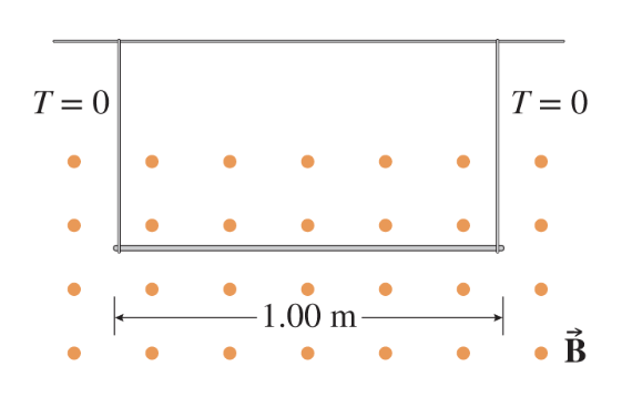 Wire Suspended in Magnetic Field